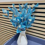 La Casa Di Gioele Hébergement de vacances *